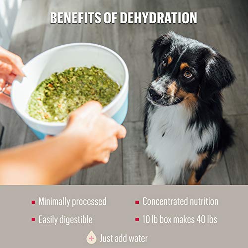 The Honest Kitchen Human Grade Dehydrated Grain Free Dog Food