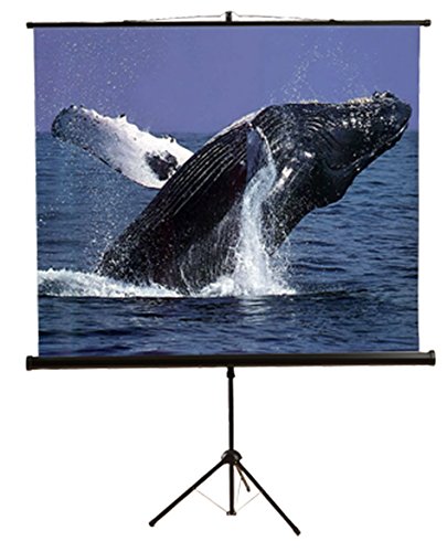 Mustang SC-T100D43 100 inch Manual 4:3 Tripod Front Projection Screen 80" x 60"