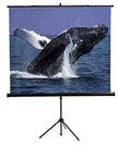 Mustang SC-T100D43 100 pouces Manuel 4: 3 Trépied Front Projection Screen 80 