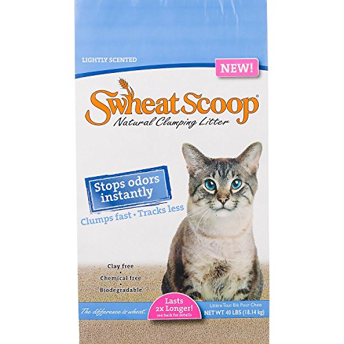 Swheat Scoop 860610 Lightly Scented Cat Litter 25LB