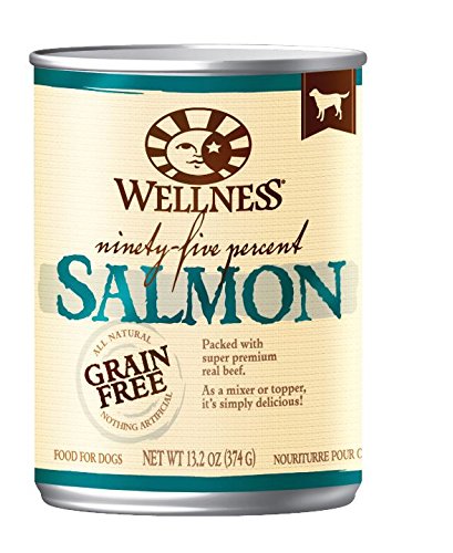 Bien-être 89404 95% aliments pour chiens saumons 12/13,2 oz