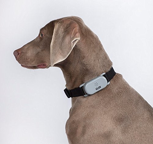 Compagnie des animaux Clix NO BARK Collar