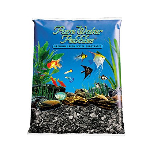 Importations mondiales AA3760 Pure Pinoes Prébuche au gravier d'aquarium naturel (Raven, 5lb x 10pc)