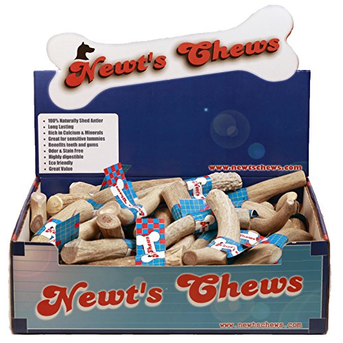 Newt's Chews Deer Antler Chew Treat pour un petit chien Affichage