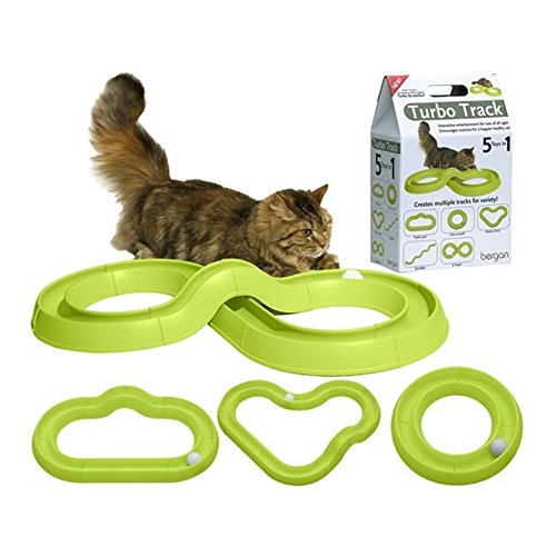 Bergan Pet CC1660 Turbo Track Cat Toy