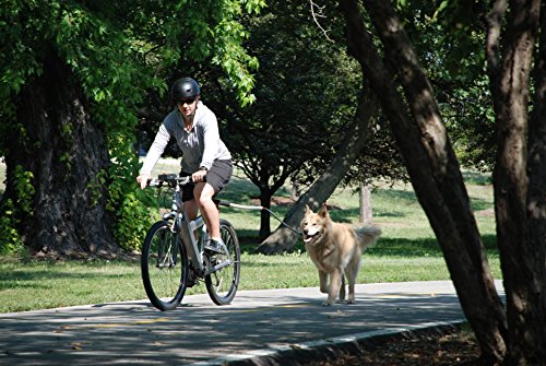 Petego Cycleash Universal Bicycle Leash, Gray
