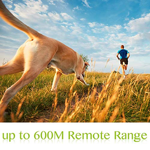 Dog Training Collar Rechargeable & Waterproof 660yd Remote training 2 dogs