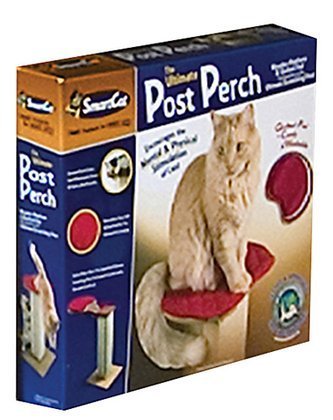 Smartcat Perch pour le post de grattage ultime