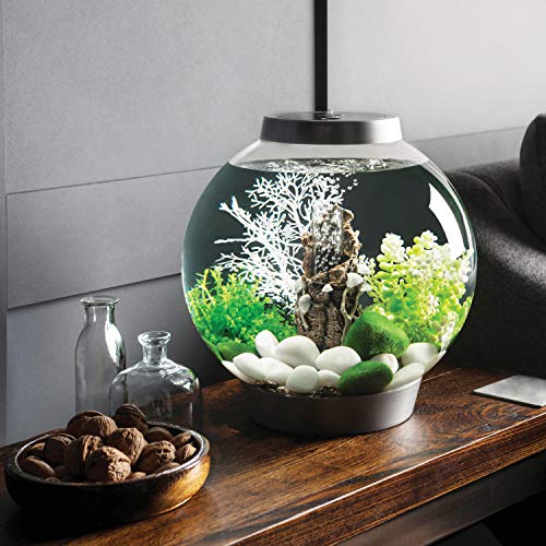 Biorb Classic 15 Aquarium avec lumière LED - 4 gallons, argent