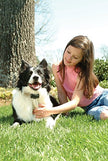PetSafe Deluxe Bark Control Collar (PDBC-300) for Dogs 8 lb. and Up, Waterproof, 3 Modes of Static Correction