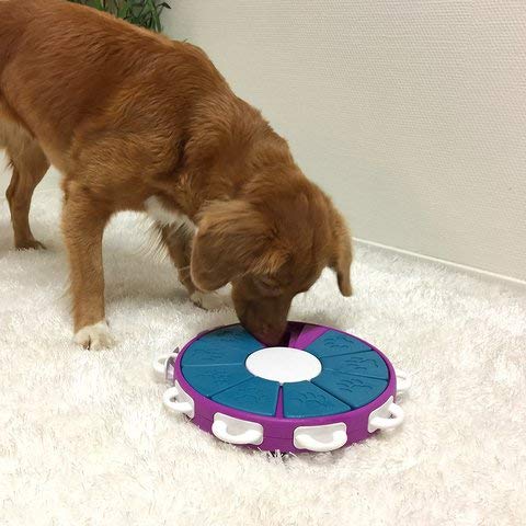 Nina Ottosson DogTwister Interactive game