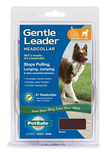 Radio Systems PRP-GLQHCMBR Gentle Leader Quick Release Headcollar, Medium, Brown