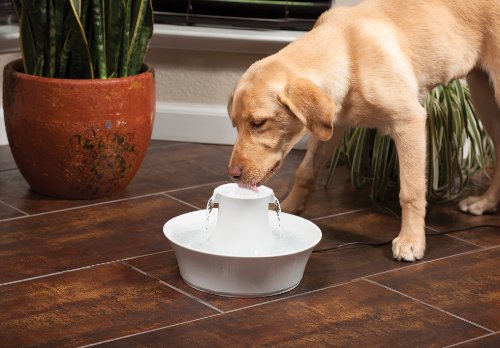 PetSafe Drinkwell Avalon Pet Water Fountain, Ceramic Drinking Fountain for Cats and Dogs, 70 oz. Water Capacity