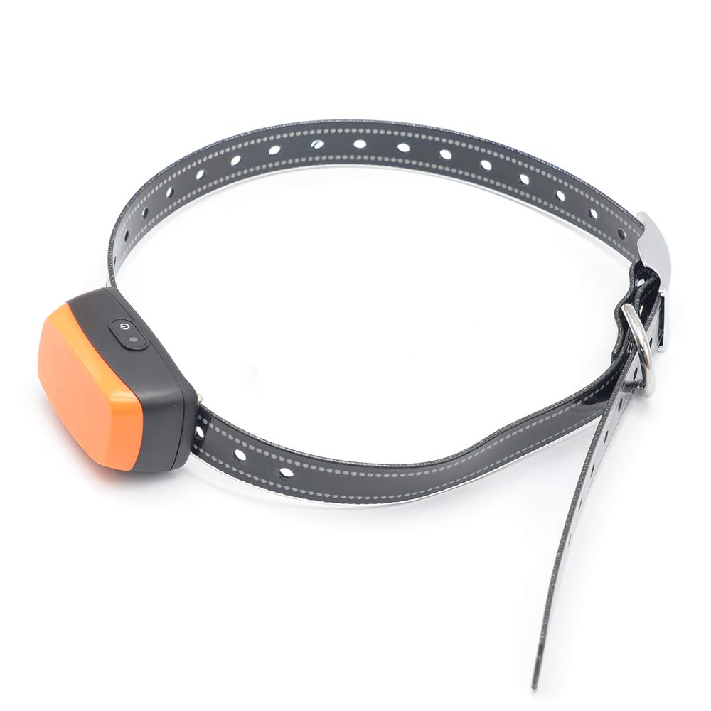 In Ground Invisible wire dog fence system best new model upgraded version