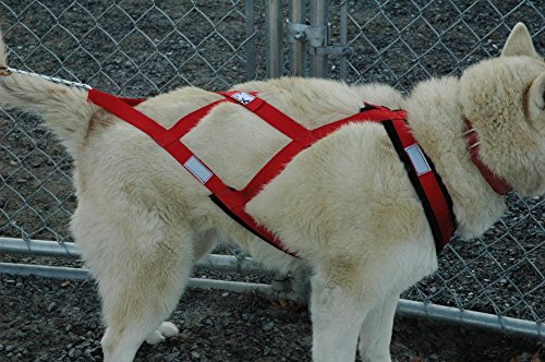 Canadog Regular X-Back Harness Fleece Lined