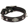 Coastalpet Harley-Davidson Leather Spiked Collar Black With Pink (24 inch)