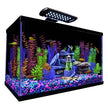 Tetra NV33121 GloFish Aquarium Kit 10gal