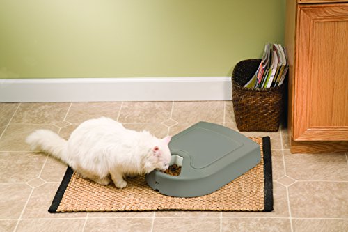 PetSafe 5-divagramme pour animaux de compagnie
