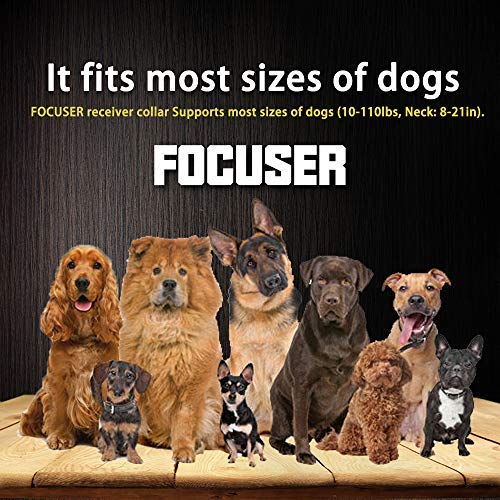 FOCUSER Electric Wireless Fence for Dogs Pet Containment System for Dog and Pets with Waterproof and Rechargeable Training Collar Receiver Boundary (with 20 Training Flags)