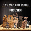 FOCUSER Electric Wireless Fence for Dogs Pet Containment System for Dog and Pets with Waterproof and Rechargeable Training Collar Receiver Boundary (with 20 Training Flags)