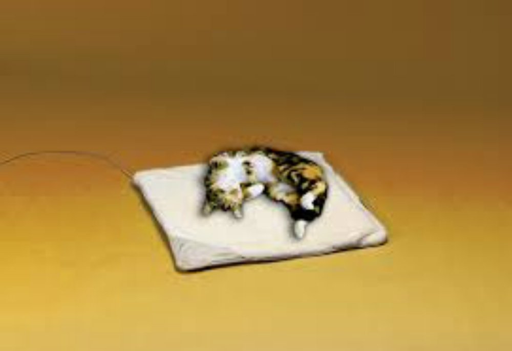 Allied Precision 12PB-S Small Heated Pet Bed