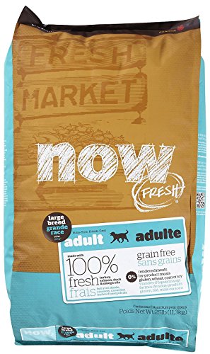 Now 152508 Fresh Grain Free Large Breed Dog Food, 25-Pound Bag
