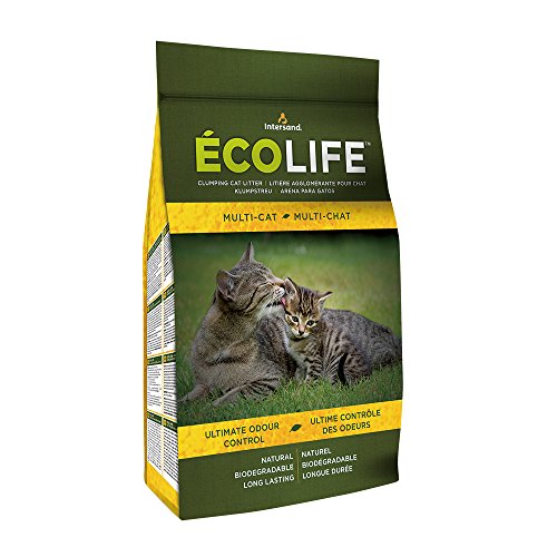 Intersand Ecolife Citrus Pulp Multi Cat Litter 4x4.54kg