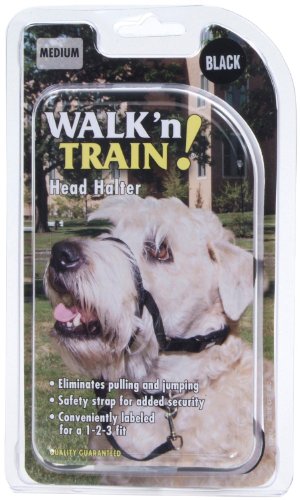 Halti Head Dog Halter Collur Taille: 1