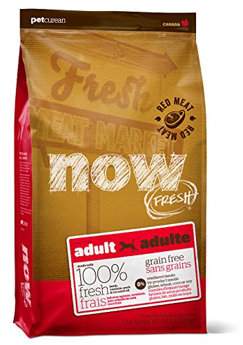 Petcurean 42681 Now Fresh Grain Free Red Meat Adult Dog Food 6LB(4)