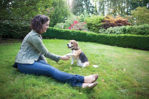 PetSafe In-Ground Fence Receiver Collars for Cats and Dogs, Waterproof, Tone and Static Correction