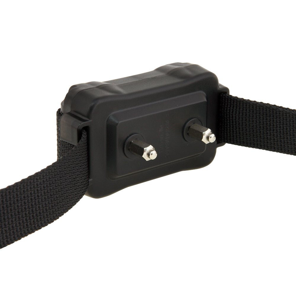 Remote sans fil numérique 1000m Collier de formation pour animaux de compagnie