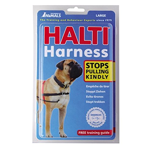 Compagnie des animaux DD8637 Halti harnais noir et rouge (grand)