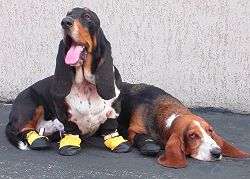 Muttluks Original All-Weather IB to XXL Dog Boots, 4 Pack (Black, Itty Bitty (1-1.5in))