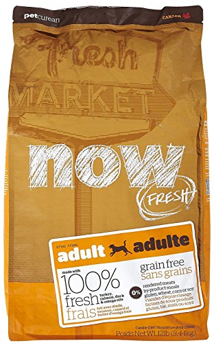 Petcurean Now Fresh Grain Free Adult Dog Food (12 lbs)