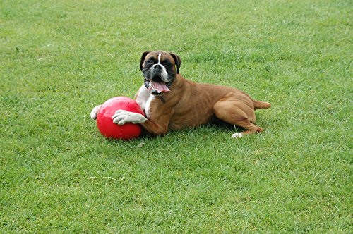 La compagnie des animaux Bomer Ball