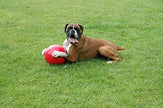 La compagnie des animaux Bomer Ball