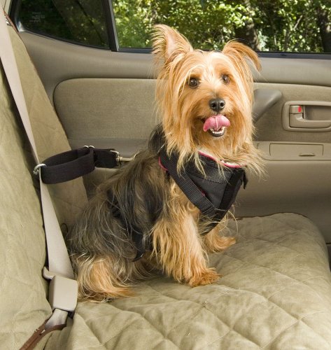 Pet Vehicle Safety Harness