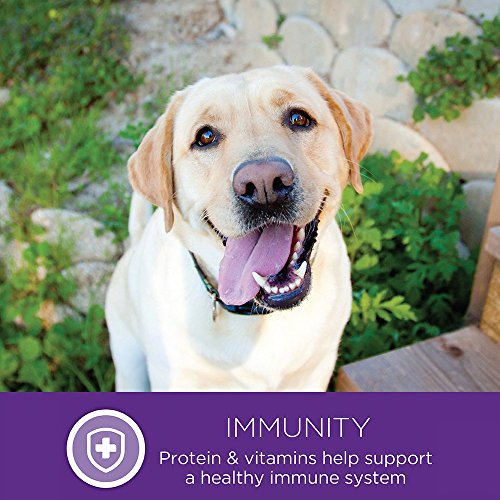 Wellness Complete Health Natural Wet Canned Dog Food, Whitefish and Sweet Potato Recipe, 6-Ounce Can (Pack of 24)