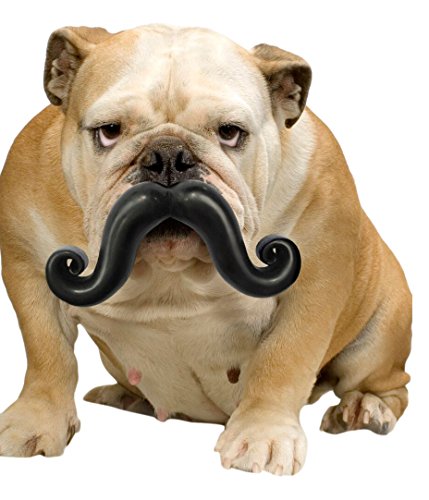 Moody Pet Humunga Stache Junior Dog Toy for Medium-Large Dogs