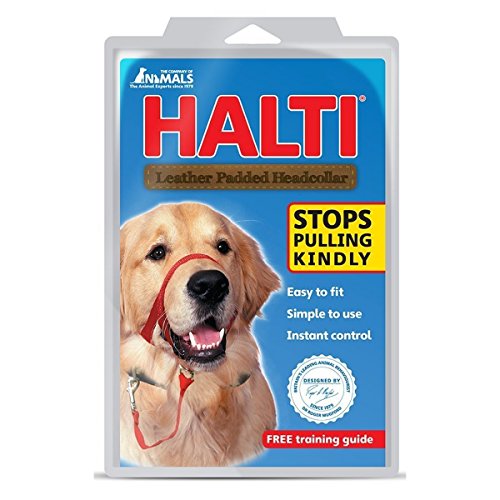 Company of Animals DD8614 Halti Headcollar Leather Padded in Black (Size 4)