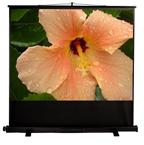 Mustang SC-P100D43 Portable 4:3 Pull-Up Projection Screen Black 60" x 80"