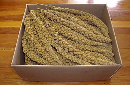 Ralph Moore & Sons Spmila5-8 / 10 Spray Millet Bulk 8-10 pouces 5 lb Boîte
