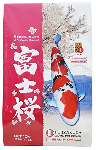 Cobalt Fujizakura Health koi aliments alimentaires grand
