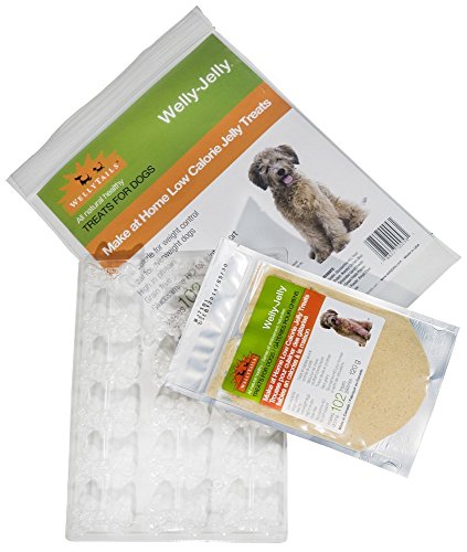 WellyTails Welly-Jelly Treat Kit with 17-Cavity Bone Mold 6x120gr