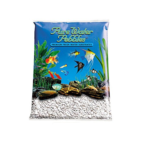Importations mondiales AA3801 Pure Eau Plantes Aquarium Gravel 2pc (Blanche-Neige, 25 livres)