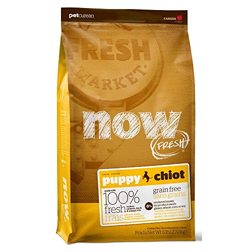 Petcurean Now Fresh Gree Free Puppy Puppy (25lbs)