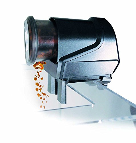 Lifegard R440950 Automartic Intelli-Fed 2 témérages par jour