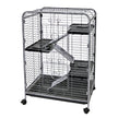 Ware Manufacturing 4 Niveau Indoor Hutch pour petits animaux de compagnie, moyen