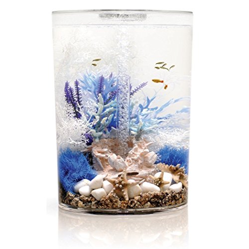 Reef One biOrb AA3317 BiUbe Pure Aquarium with Halogen Light Clear 9 Gallons