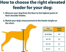 Nos animaux de compagnie Series Série de chiens surélevés